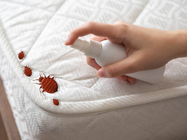 Best Pest Removal Services  in Clyde, OH